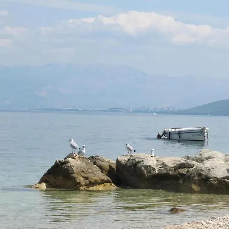 Spacious In Arbanija With Terrace Trogir